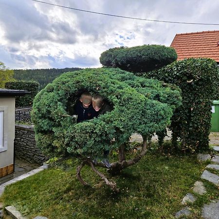 Huette Auf 1000M Hoehe In Moenichkirchen. Екстериор снимка